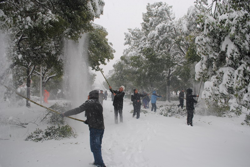 淮南師范學(xué)院召開抗雪防災(zāi)工作會議，加強校園安全工作