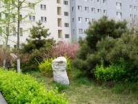 涿州幼師技師學院2023年學費、收費多少