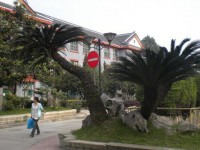 四川大學(xué)師范學(xué)院望江校區(qū)2023年學(xué)費(fèi)、收費(fèi)多少