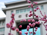 延安大學(xué)師范學(xué)院楊家?guī)X校區(qū)2023年學(xué)費(fèi)、收費(fèi)多少