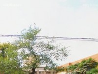 西安職業(yè)中等幼師專業(yè)學(xué)校2023年報(bào)名條件、招生要求、招生對(duì)象