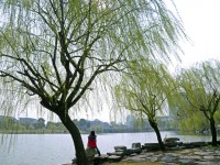 金華職業(yè)技術(shù)師范學(xué)院2023年學(xué)費、收費多少