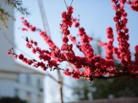 山東威海藝術(shù)幼兒師范學(xué)校2023年學(xué)費、收費多少
