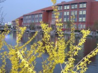 鄭州大學(xué)師范學(xué)院南校區(qū)2023年學(xué)費(fèi)、收費(fèi)多少