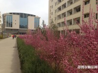延安職業(yè)技術(shù)師范學(xué)院2023年招生辦聯(lián)系電話(huà)