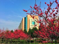 陜西中醫(yī)藥師范大學(xué)南校區(qū)歷年招生錄取分?jǐn)?shù)線(xiàn)