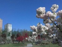 河北正定師范高等?？茖W(xué)校2023年招生錄取分?jǐn)?shù)線