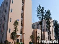 成都信息技術(shù)幼兒師范學(xué)校2023年報(bào)名條件、招生要求、招生對象