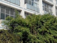 貴州貴陽(yáng)中山科技幼兒師范學(xué)校2023年學(xué)費(fèi)、收費(fèi)多少