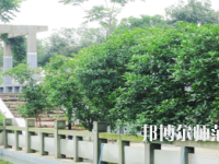 德陽通用電子科技幼兒師范學(xué)校2021年報(bào)名條件、招生要求、招生對象