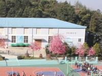 云南林業(yè)幼兒師范高級技工學(xué)校2023年學(xué)費(fèi)、收費(fèi)多少