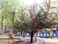 石家莊法商幼兒師范中等專業(yè)學校2023年報名條件、招生要求、招生對象