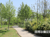 石家莊中英航空幼兒師范中等專業(yè)學(xué)校2023年怎么樣、好不好