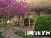 鄭州2020年幼師學?？梢詫W什么