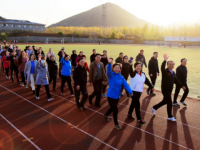 石家莊幼兒師范高等?？茖W校歷年招生錄取分數(shù)線