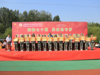 石家莊幼兒師范高等?？茖W(xué)校2023年是幾專
