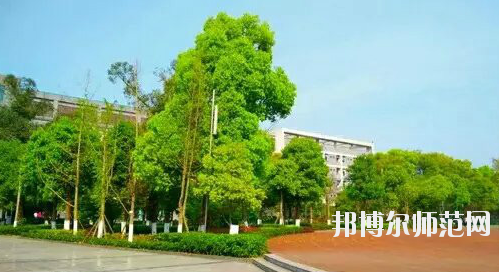 重慶市九龍坡幼師職業(yè)教育中心怎么樣、好不好。