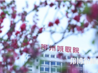 柳州城市職業(yè)師范學(xué)院2023年怎么樣、好不好