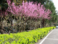 大同師范高等?？茖W(xué)校2023年招生錄取分?jǐn)?shù)線