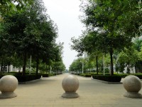 廣西現(xiàn)代職業(yè)技術(shù)師范學(xué)院2023年報(bào)名條件、招生要求、招生對(duì)象