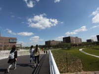 撫順師范高等專科學(xué)校2023年招生計劃
