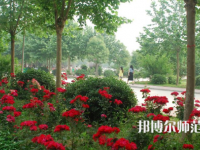 河南科技職業(yè)師范大學(xué)2023年報名條件、招生要求、招生對象