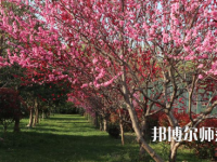 河南科技職業(yè)師范大學(xué)2023年怎么樣、好不好