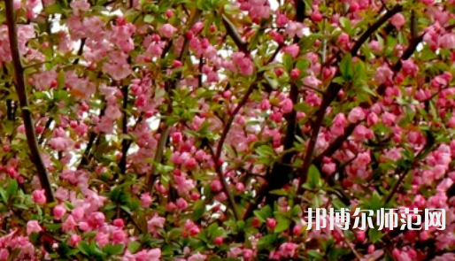 鄭州大學師范學院南校區(qū)2023年怎么樣、好不好