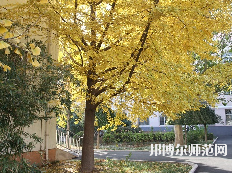 北京京北職業(yè)師范技術(shù)學院2023年報名條件、招生要求、招生對象