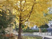 北京京北職業(yè)師范技術(shù)學(xué)院2023年報(bào)名條件、招生要求、招生對(duì)象