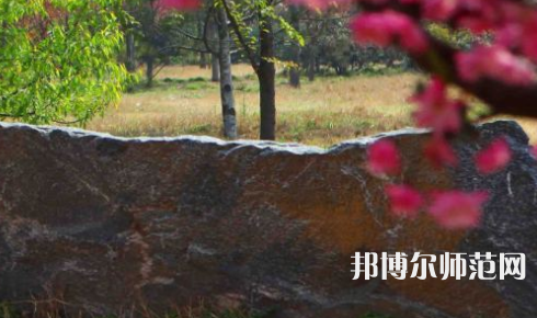 鄭州大學師范學院主校區(qū)2023年有哪些專業(yè)