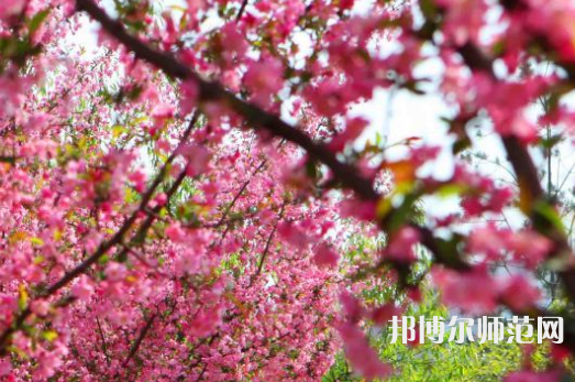 鄭州大學(xué)師范學(xué)院主校區(qū)2023年報名條件、招生要求、招生對象