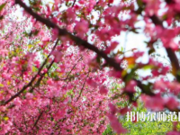 鄭州大學(xué)師范學(xué)院主校區(qū)2023年報(bào)名條件、招生要求、招生對象