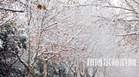 鄭州航空工業(yè)管理師范學(xué)院2023年報(bào)名條件、招生要求、招生對象