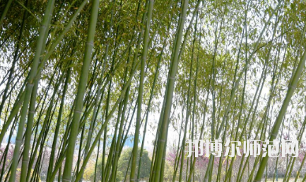 周口職業(yè)技術(shù)師范學(xué)院開(kāi)元校區(qū)2023年報(bào)名條件、招生要求、招生對(duì)象