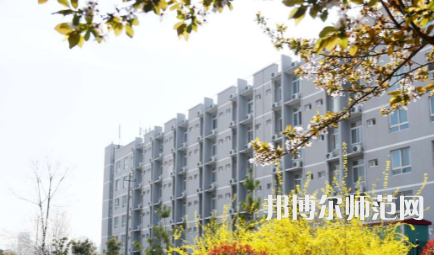 周口職業(yè)技術(shù)師范學(xué)院開元校區(qū)2023年怎么樣、好不好