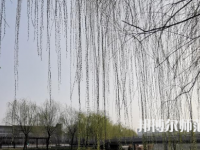鶴壁職業(yè)技術(shù)師范學(xué)院2023年怎么樣、好不好