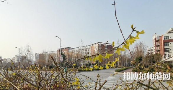鶴壁職業(yè)技術(shù)師范學(xué)院2023年報(bào)名條件、招生要求、招生對(duì)象