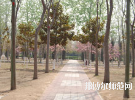 濮陽職業(yè)技術師范學院2023年報名條件、招生要求、招生對象