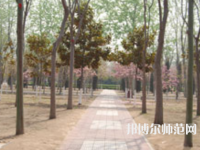 濮陽職業(yè)技術(shù)師范學(xué)院2023年報(bào)名條件、招生要求、招生對象