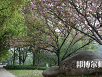 紹興文理師范學(xué)院2023年有哪些專(zhuān)業(yè)