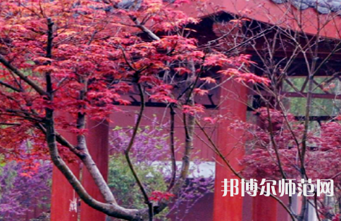 駐馬店師范職業(yè)技術(shù)學院2023年怎么樣、好不好