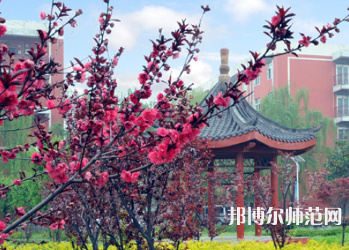 駐馬店師范職業(yè)技術(shù)學(xué)院2023年報名條件、招生要求、招生對象