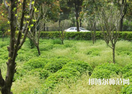 駐馬店師范職業(yè)技術(shù)學(xué)院2023年報名條件、招生要求、招生對象