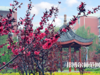 駐馬店師范職業(yè)技術(shù)學(xué)院2023年報(bào)名條件、招生要求、招生對象