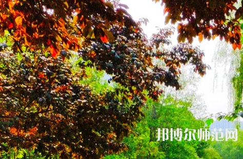 河南大學(xué)師范學(xué)院金明校區(qū)2023年怎么樣、好不好