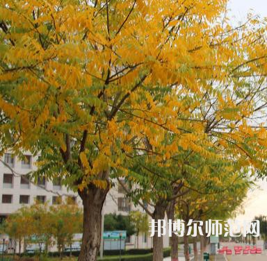榆林職業(yè)技術(shù)師范學(xué)院2023年怎么樣、好不好