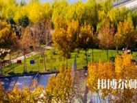河南理工師范大學(xué)北校區(qū)2023年報(bào)名條件、招生要求、招生對象