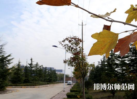 陜西職業(yè)技術(shù)師范學(xué)院2023年報名條件、招生要求、招生對象 