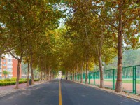 聊城師范大學(xué)東昌學(xué)院2023年報名條件、招生要求、招生對象